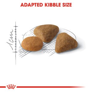 ROYAL CANIN® Savour Exigent 10kg